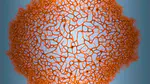 IAM Open Lecture 12: From VFX to experimental animation and generative design