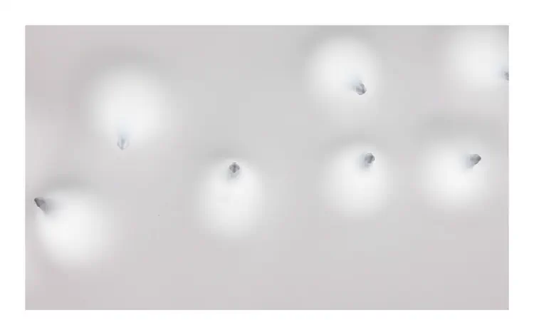 extensile-2.png
